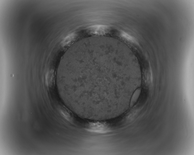 X0000087520511200704271143