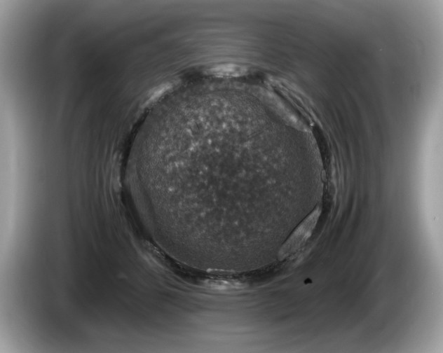 X0000087520512200704271143