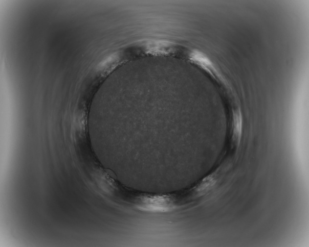 X0000087520513200704271143