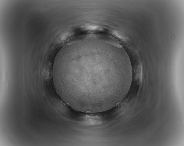 X0000087520515200704271143
