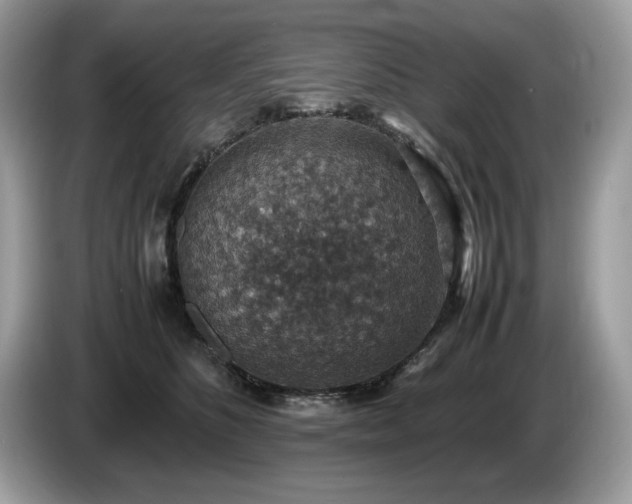 X0000087520516200704271143