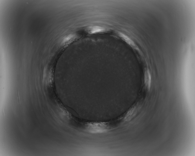 X0000087520517200704271143