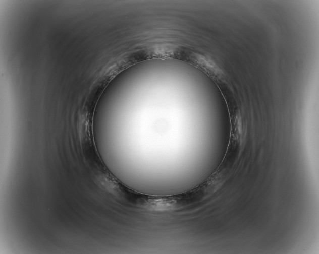 X0000087520522200704271142