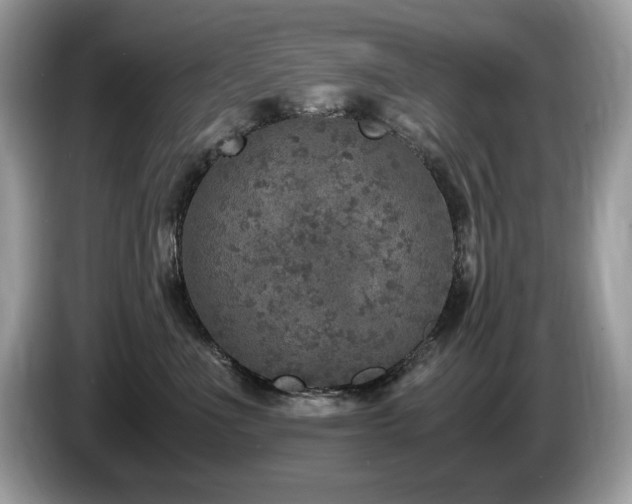 X0000087520523200704271142