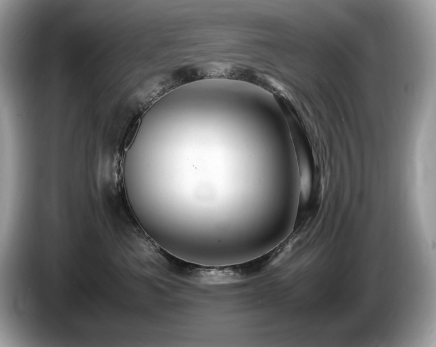 X0000087520525200704271142