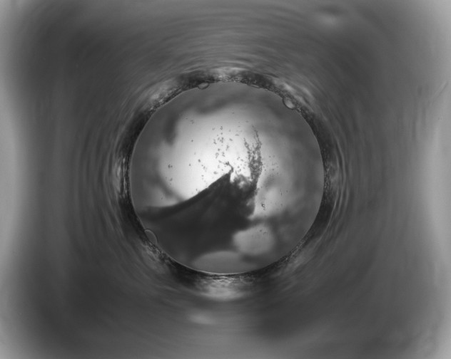 X0000087520527200704271142
