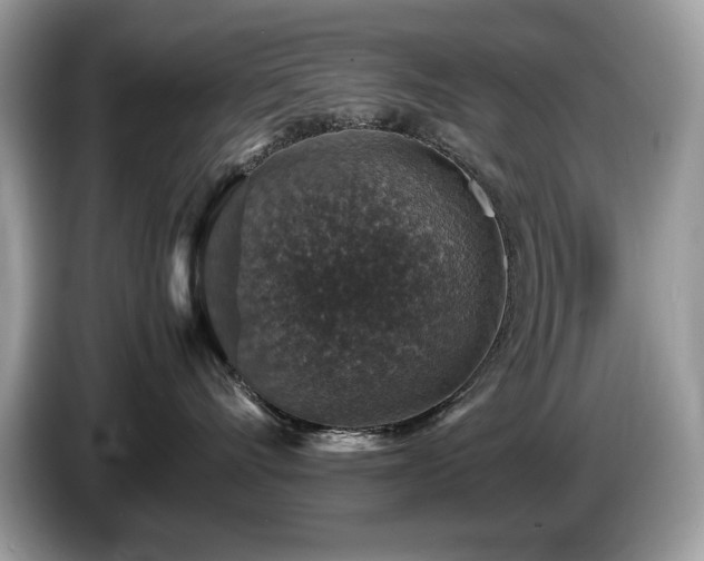 X0000087520528200704271142