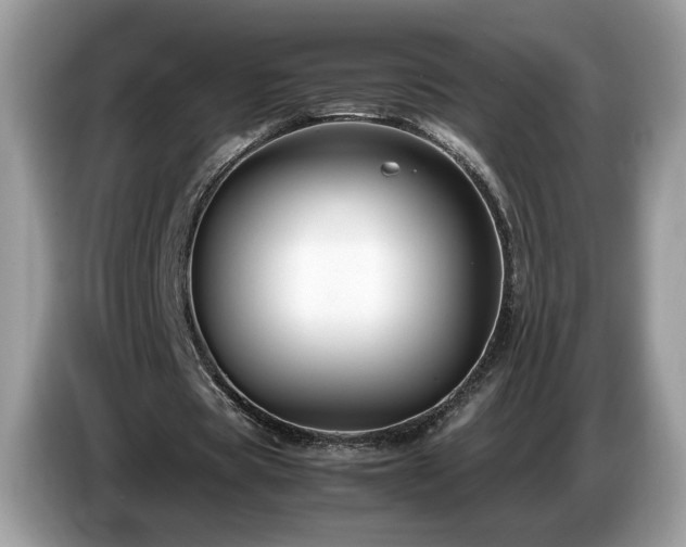X0000087520529200704271142