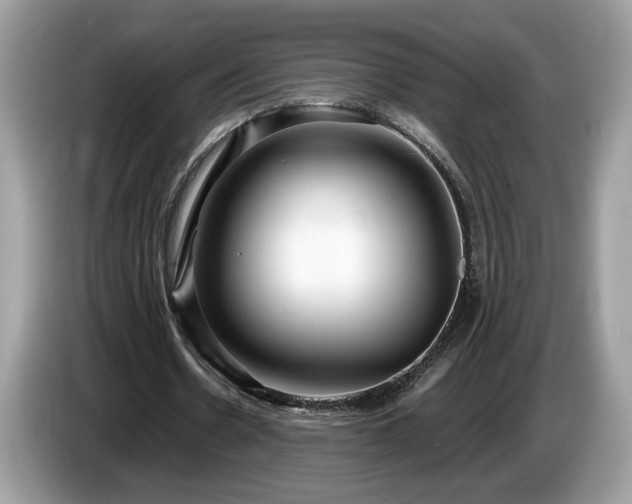 X0000087520530200704271142