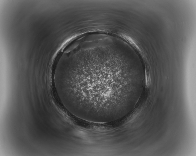 X0000087520531200704271142