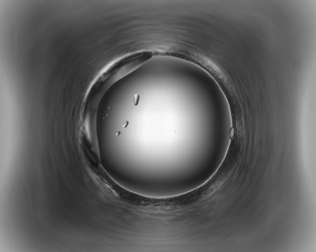 X0000087520532200704271142