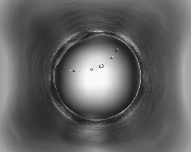 X0000087520533200704271142