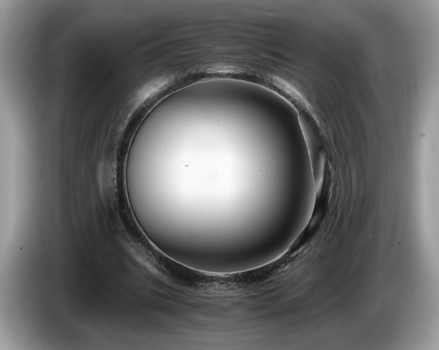 X0000087520535200704271142