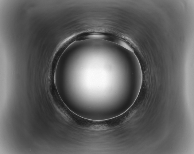 X0000087520536200704271142