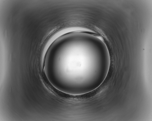 X0000087520538200704271142