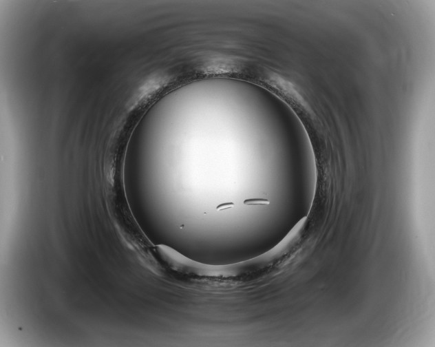 X0000087520539200704271142