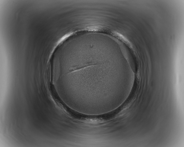 X0000087520540200704271142