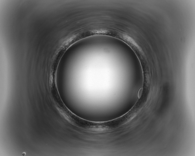 X0000087520541200704271142