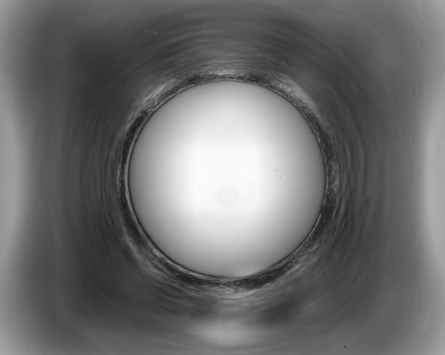 X0000087520542200704271142