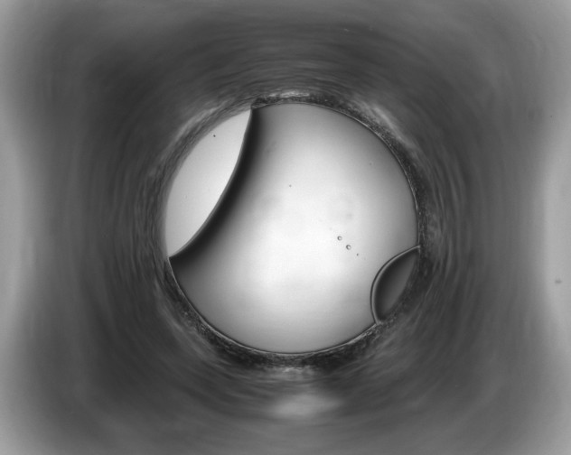X0000087520543200704271142