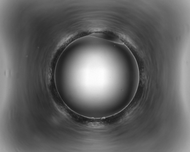 X0000087520544200704271142