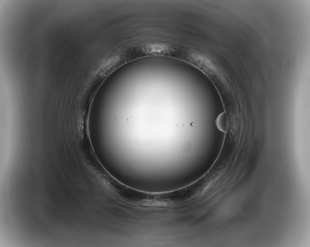 X0000087520545200704271142