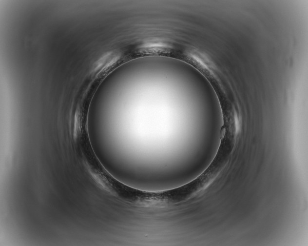 X0000087520546200704271142