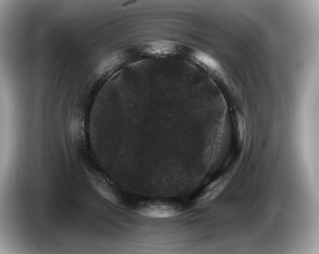 X0000087520547200704271142