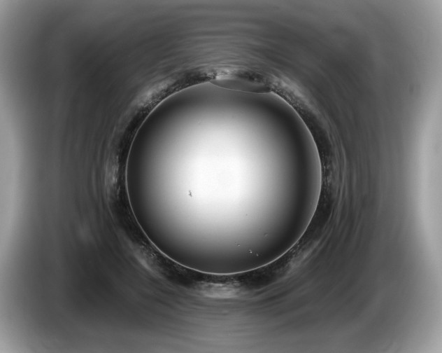 X0000087520548200704271142