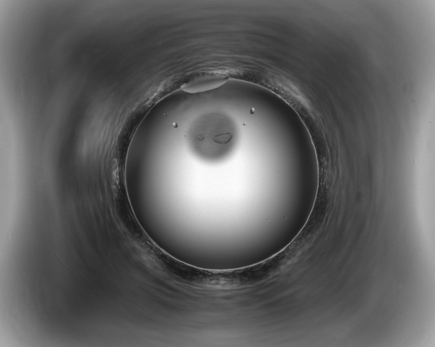 X0000087520549200704271142