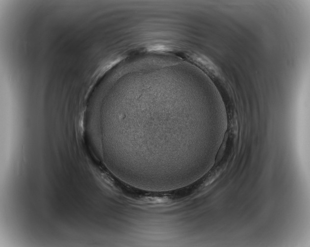 X0000087520552200704271142