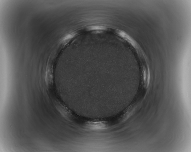 X0000087520553200704271142