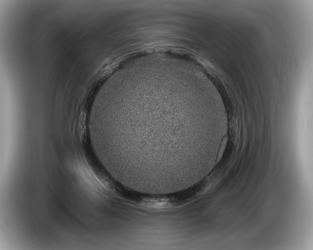 X0000087520554200704271142