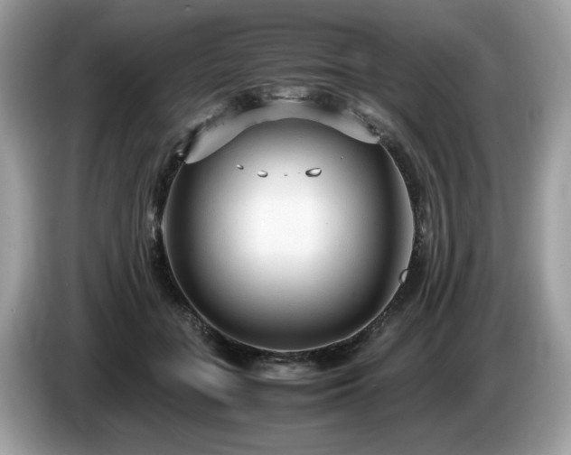 X0000087520555200704271142