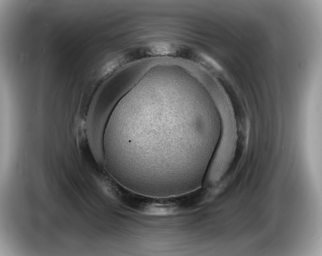 X0000087520556200704271142