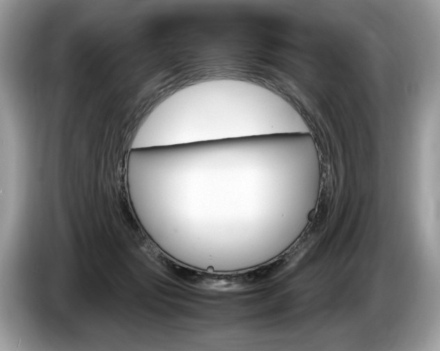 X0000087520557200704271142