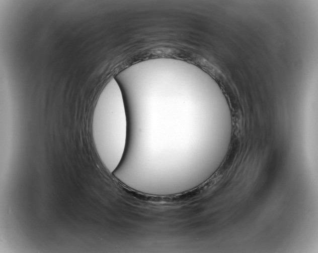 X0000087520561200704271142