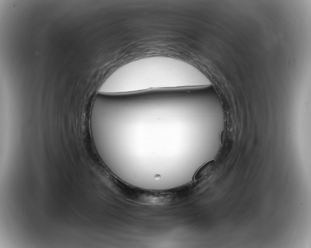 X0000087520563200704271142