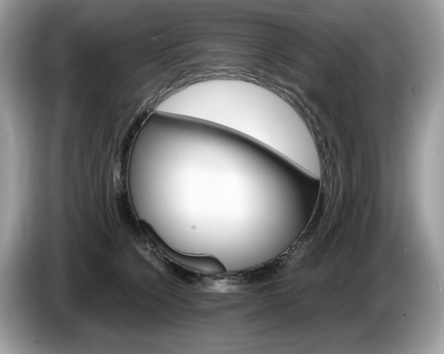 X0000087520564200704271142