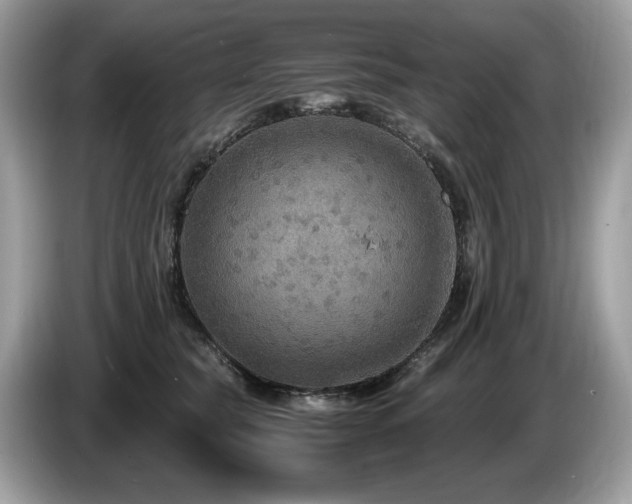 X0000087520565200704271142