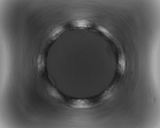 X0000087520566200704271142