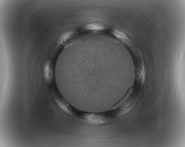 X0000087520568200704271142