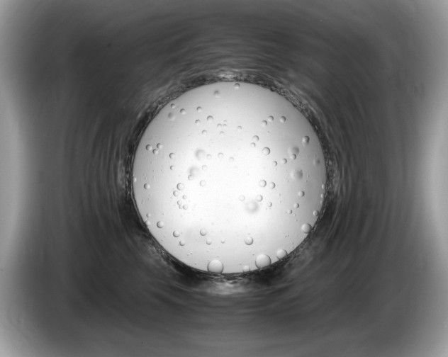X0000087520569200704271142