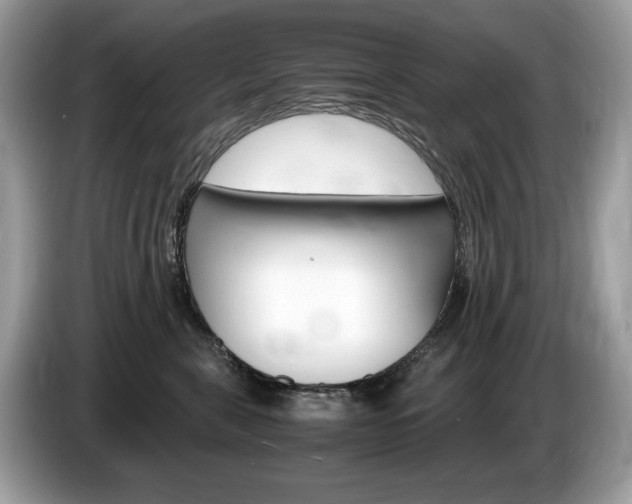 X0000087520571200704271142