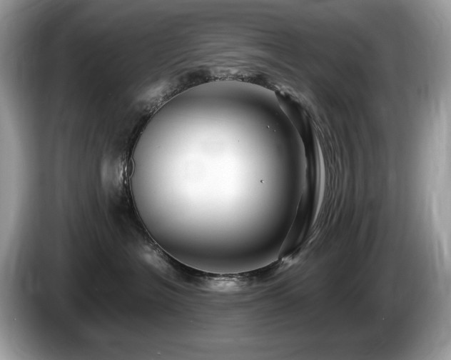 X0000087520574200704271142
