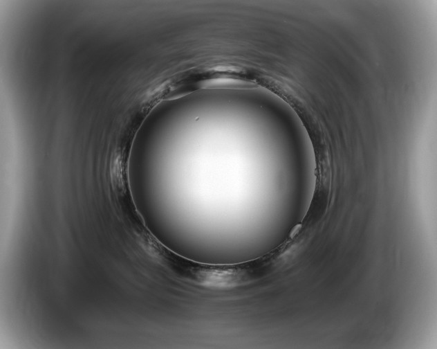 X0000087520575200704271142