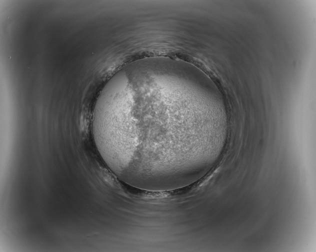 X0000087520576200704271142