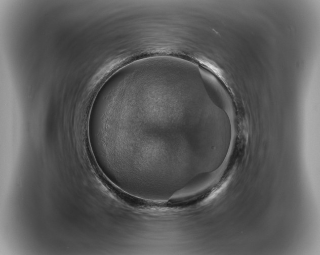 X0000087520577200704271142