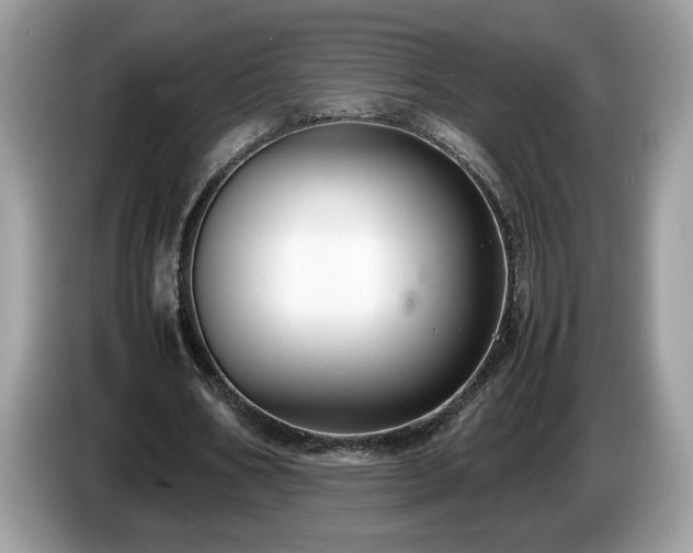 X0000087520578200704271142