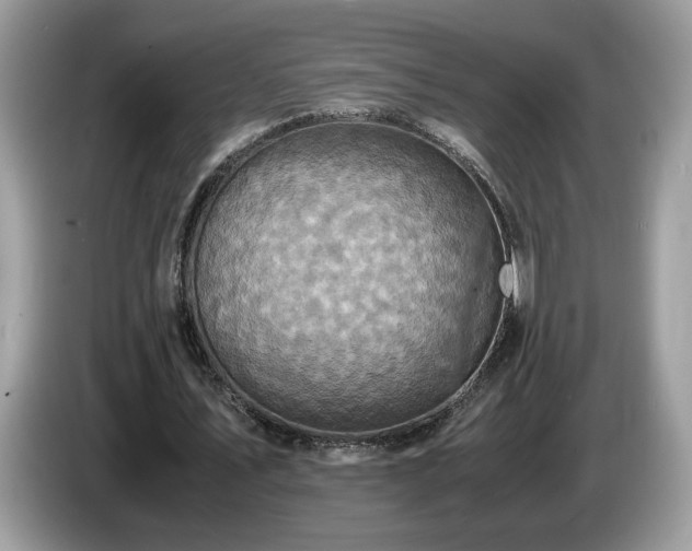X0000087520579200704271142